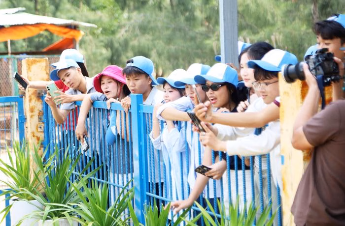 Du khách chiêm ngưỡng hổ con