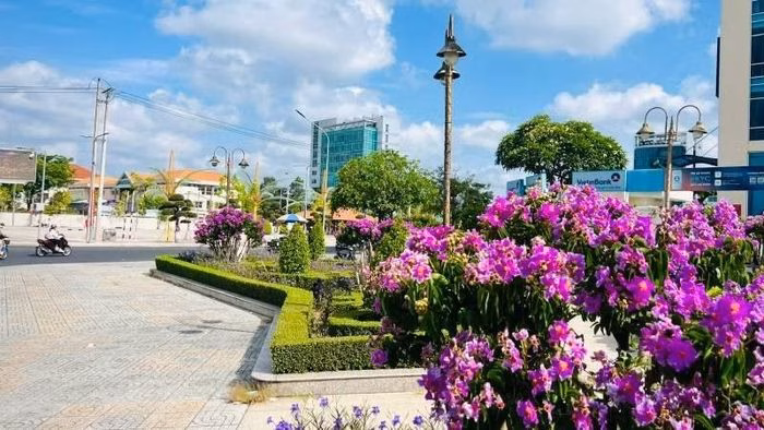 Trung tâm đô thị phường An Hội (tỉnh Vĩnh Long) rực rỡ sắc tím, thu hút đông đảo khách tham quan.